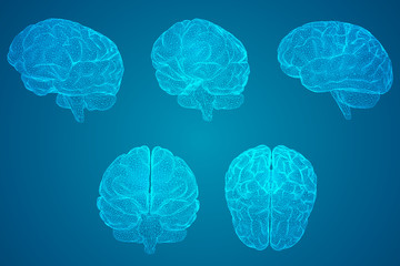 魔兽世界有哪些比较好抓的灵魂兽？