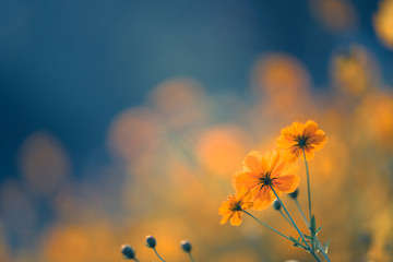 古希腊人物资料