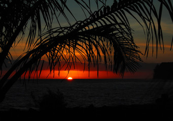 魔兽世界有哪些比较好抓的灵魂兽？