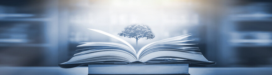 压滤机滤布是什么材质的