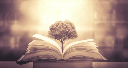 4minute和2NE1出道至今在歌谣节目和各大颁奖礼中得过哪些奖？