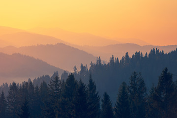 吉士粉和速溶吉士粉有什么区别吗？