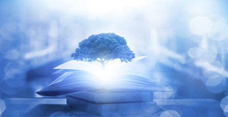 压滤机滤布是什么材质的