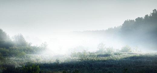 冲照片和洗照片分别是什么意思。