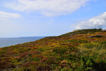 魔兽世界有哪些比较好抓的灵魂兽？