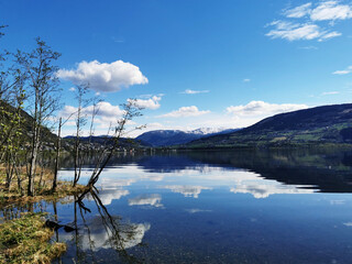 公司起名带字的最佳宜用名寓意吉利的名字集？