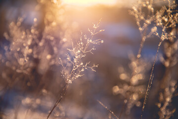 发际红中卡维塔第二部为什么换演员