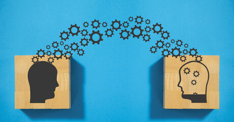 压滤机滤布是什么材质的