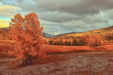 邻家花美男里那个熊猫眼女编辑叫什么？