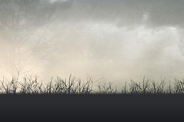 发际红中卡维塔第二部为什么换演员