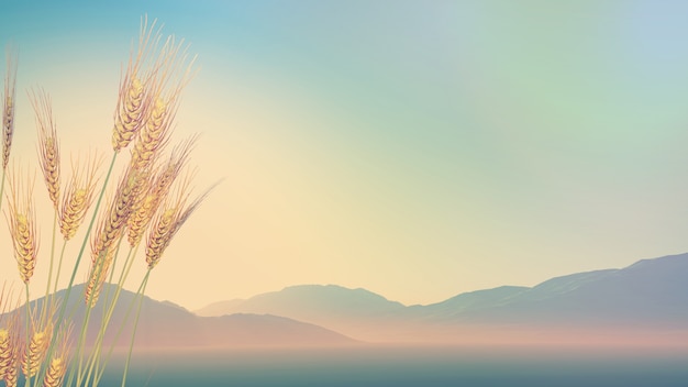 冲照片和洗照片分别是什么意思。