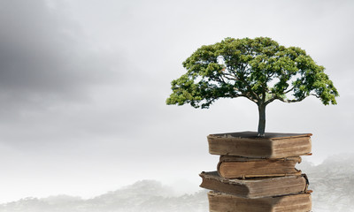 公司起名带字的最佳宜用名寓意吉利的名字集？