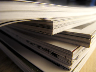 海兽包括哪些种类？