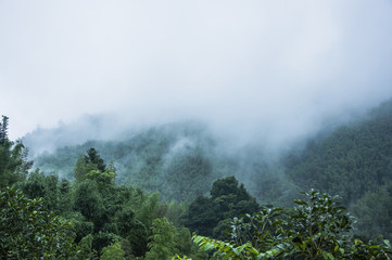 公司起名带字的最佳宜用名寓意吉利的名字集？
